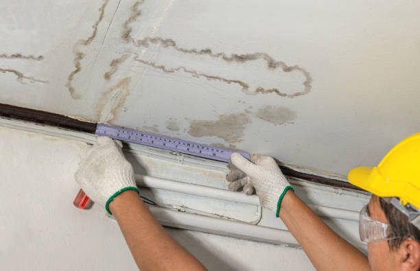 Reliable Flood Cleanup contractor in Longbranch, WA by Water Damage Irwin